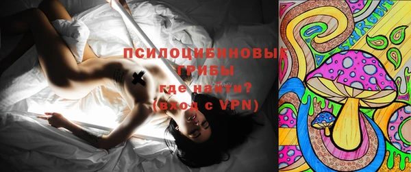 прущие грибы Беломорск
