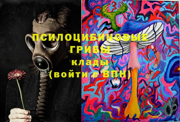 стафф Богородск