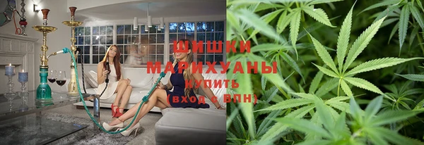 прущие грибы Беломорск