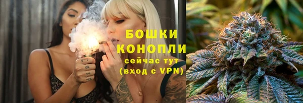 прущие грибы Беломорск